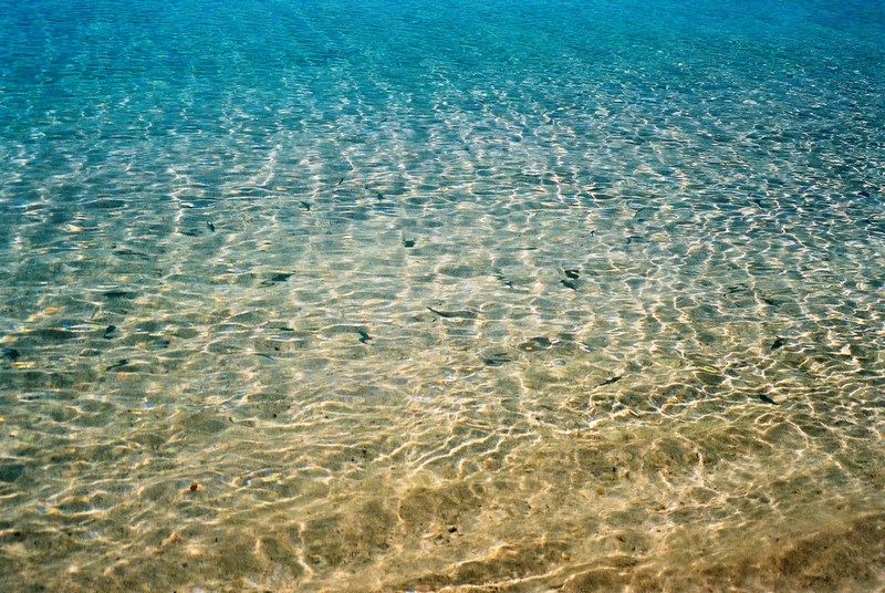 Comfy Room With Shared Pool Near Gumbet Beach Dış mekan fotoğraf